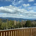 Appartement Almchalet Huettenzauber
