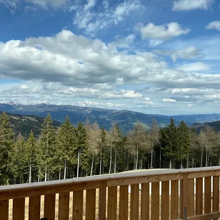 公寓 Almchalet Huettenzauber